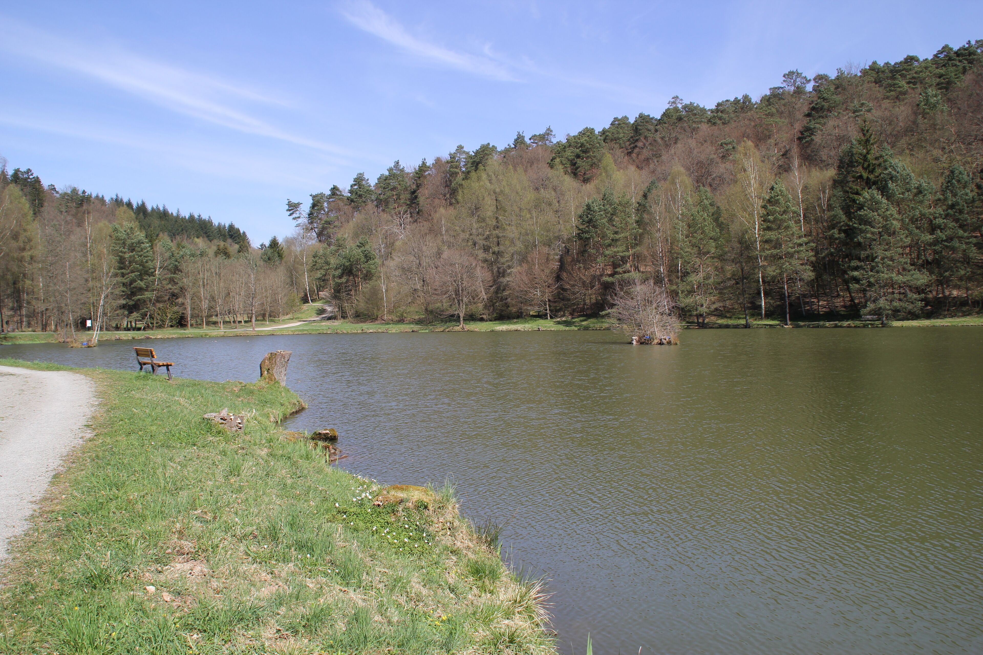 A lake surrounded by trees and a bench by the water's edge.