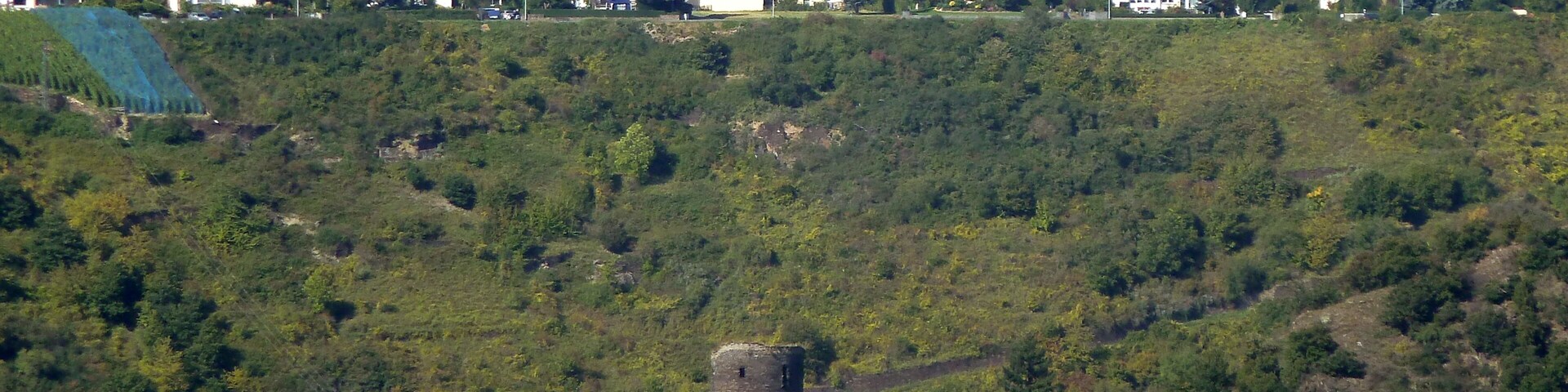 Aussicht vom Loreleyblick Maria Ruh auf Burg Katz vor Patersberg