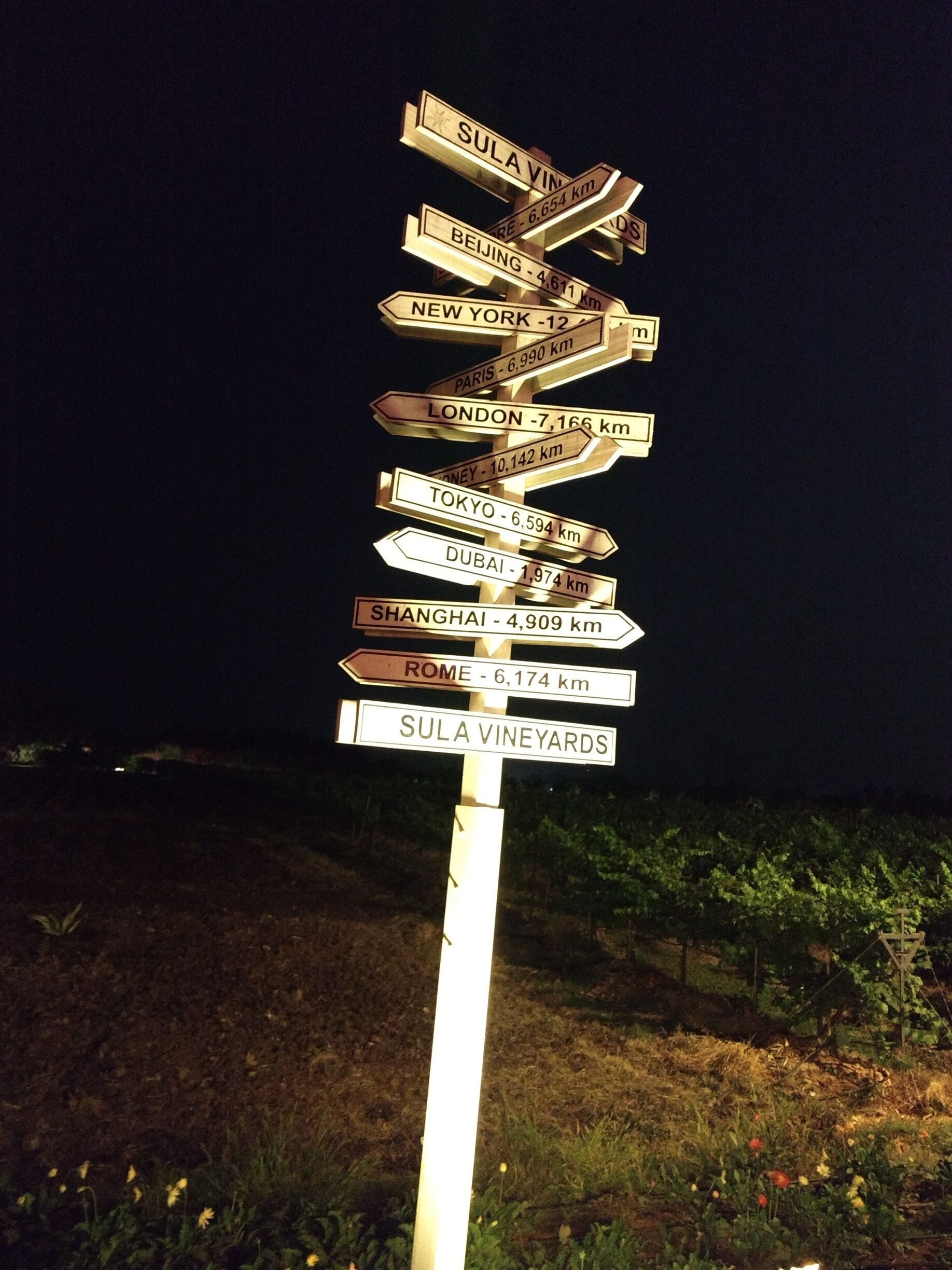 A picturesque and tasty day out option for wine lovers.. 