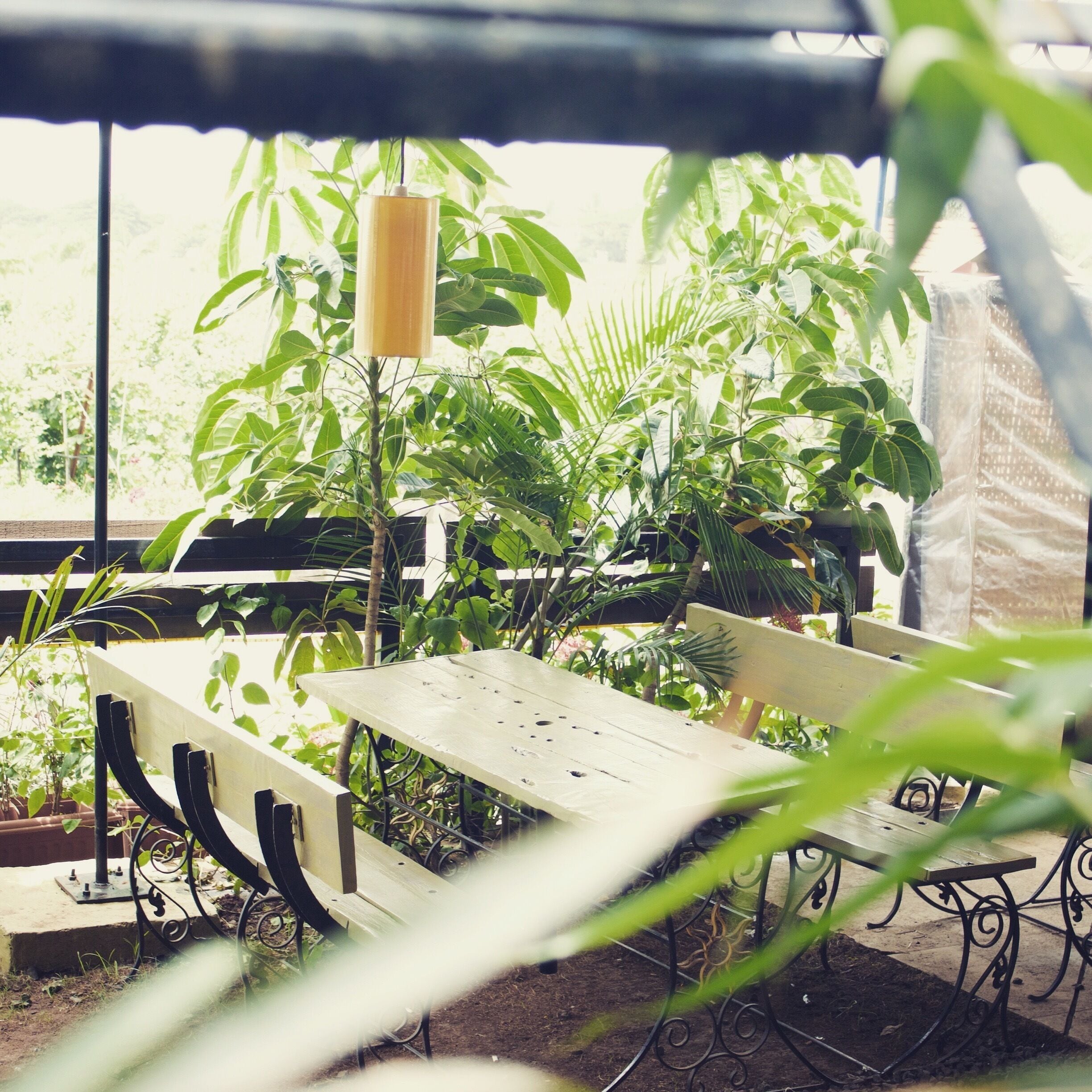 A quiet corner at the Sula Vineyards, Nashik.