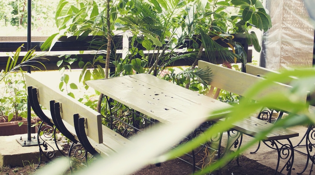 A quiet corner at the Sula Vineyards, Nashik.