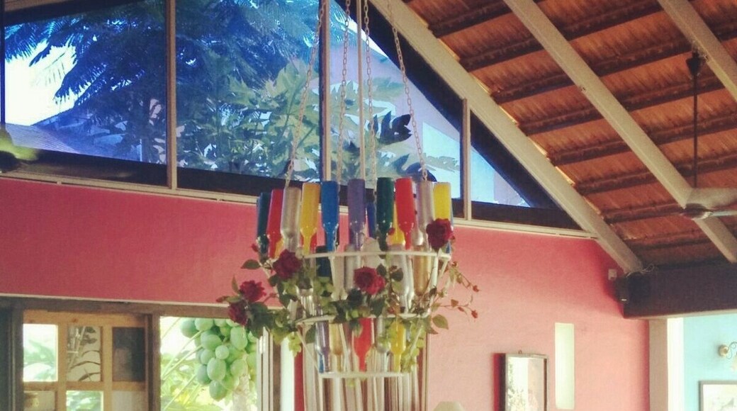 Lunching at Sula! #cutedecor