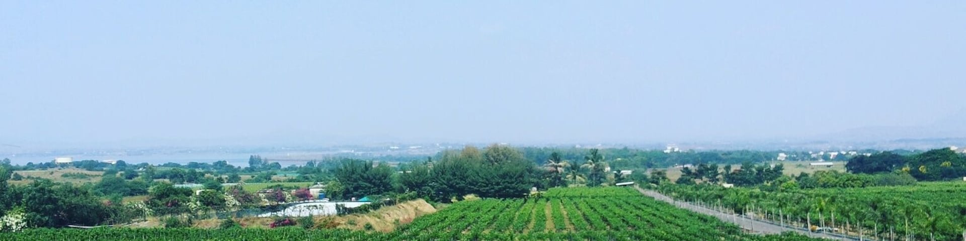 Because when you crave wine... you can go far and wide in search of it!
Mumbai to Italy to Nashik! #winelovers #sulavineyards #nashik