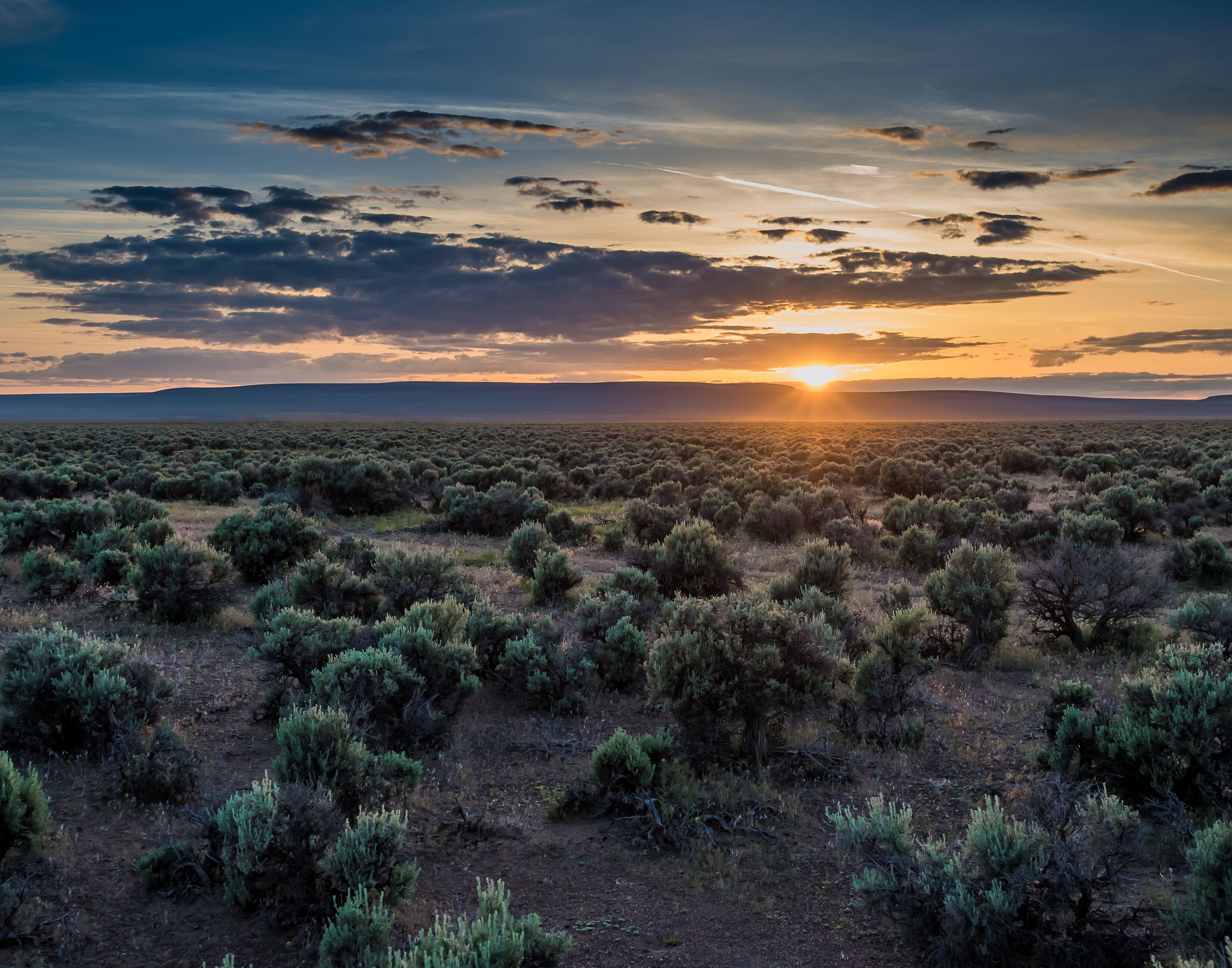 Plush Oregon Sagebrush Sunset