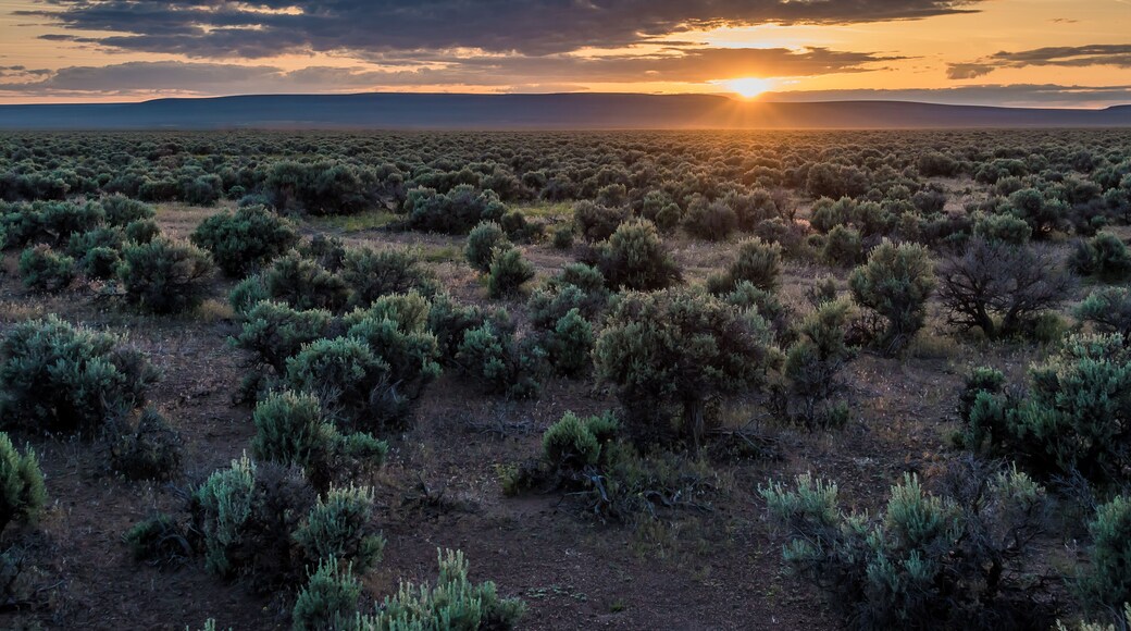 Plush Oregon Sagebrush Sunset