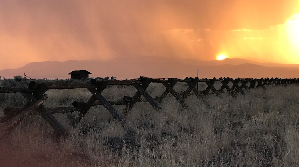 beautiful remote place with hot springs free camping up to 14 days bring your own food and water lots of antelope coyotes beautiful birds etc.