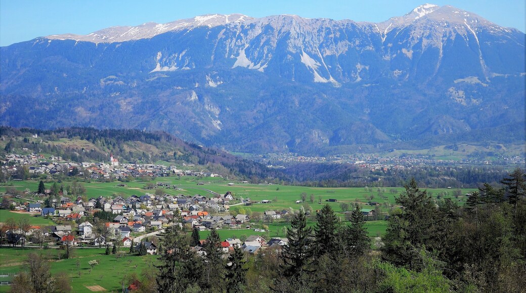 Living in the shadow of Giants. #Trovember