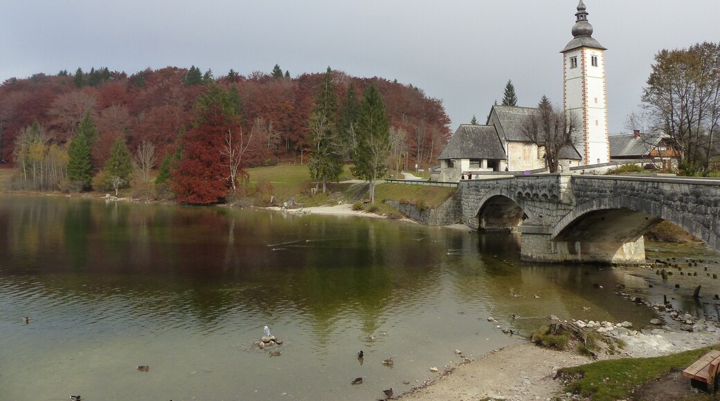 This is one on beautiful Slovenian lake. Bohinj Lake with Church of Sv. of John the Baptist