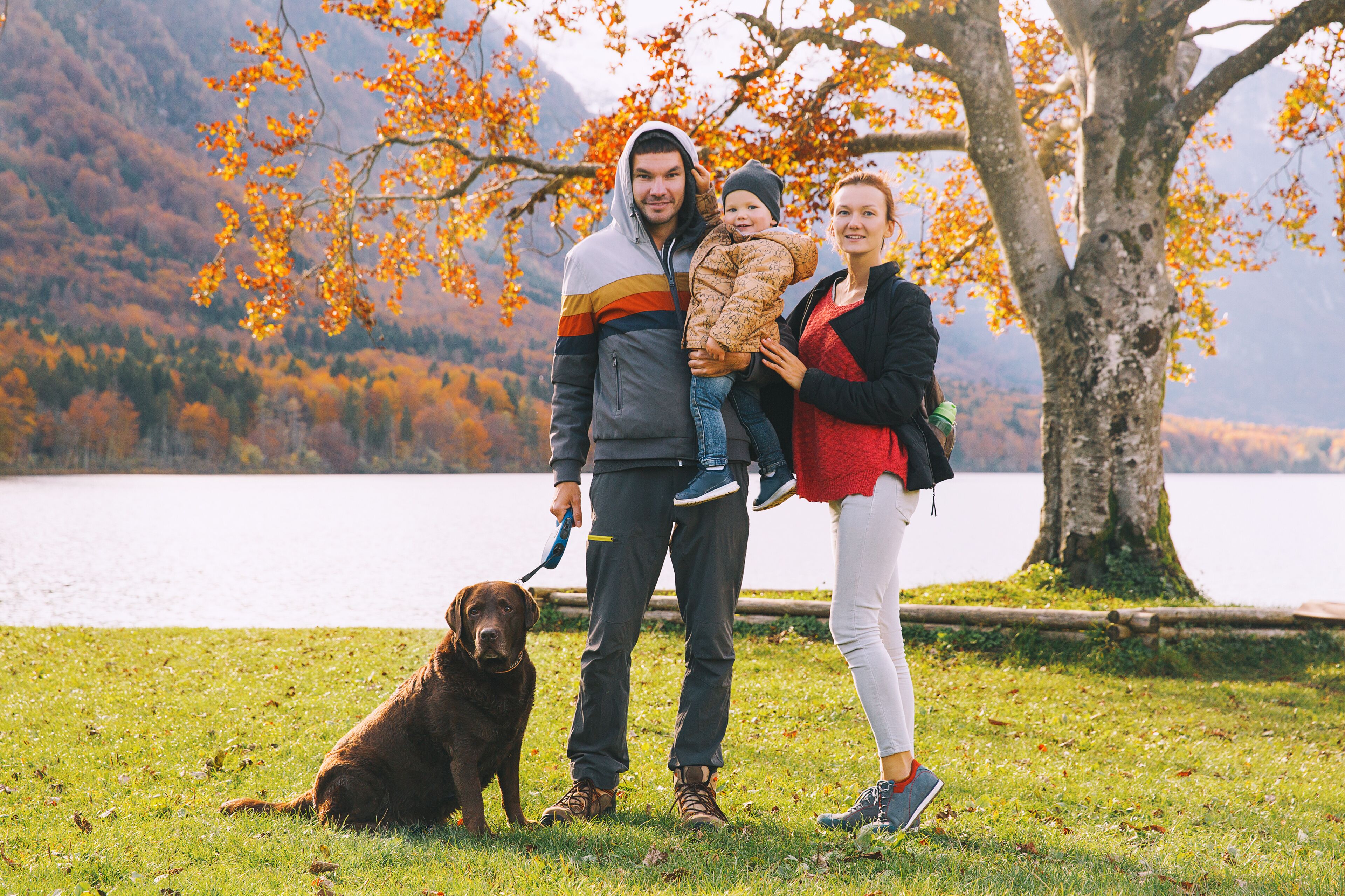 Bohinj