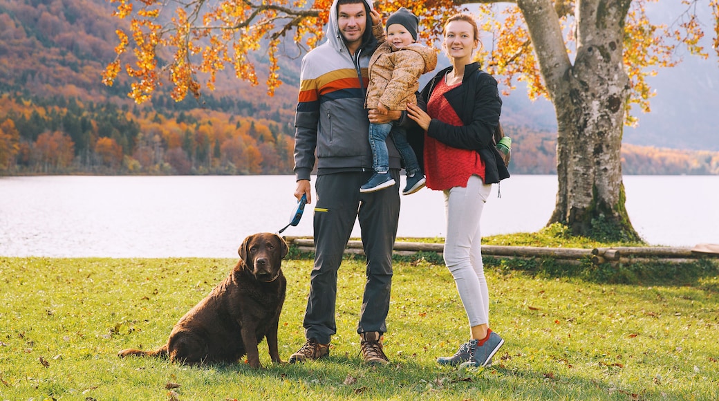 Bohinj