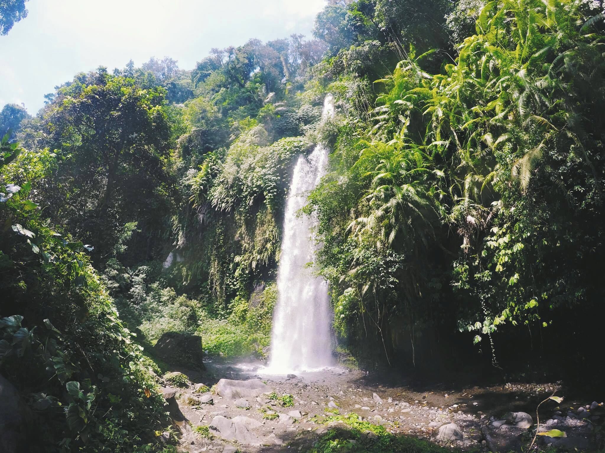 A waterfall surrounded by lush greenery.