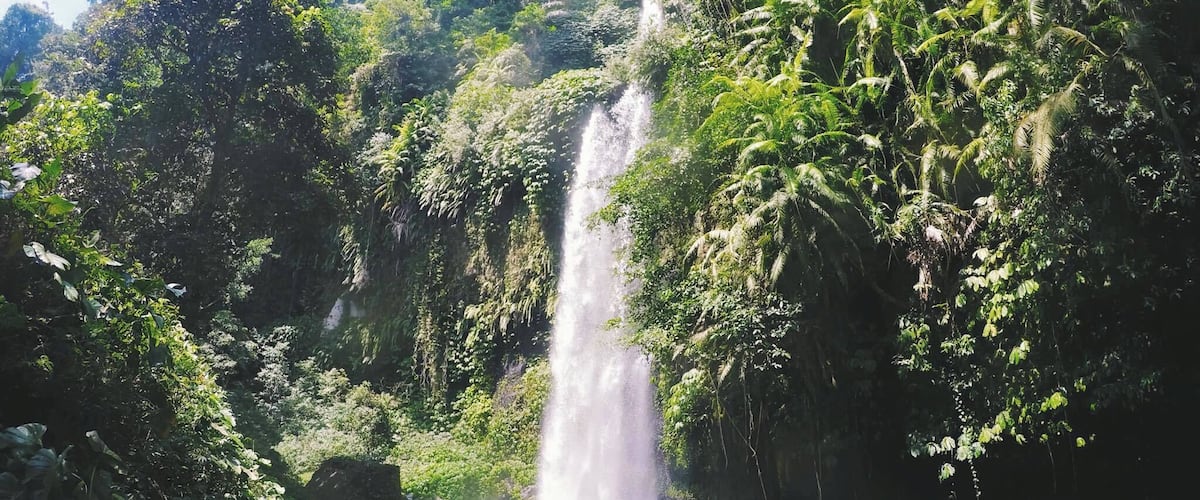 Een waterval omringd door weelderig groen.