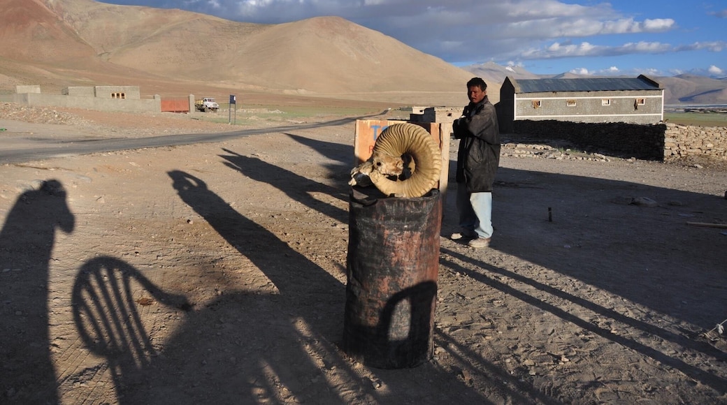Our road trip from Srinagar to Ladakh and back to Delhi brought us to this mountain lake, perhaps the most desolate place I’ve seen. The photo shows the sunset casting our long shadows, and I think it adds a spooky element to the shot. #Adventure