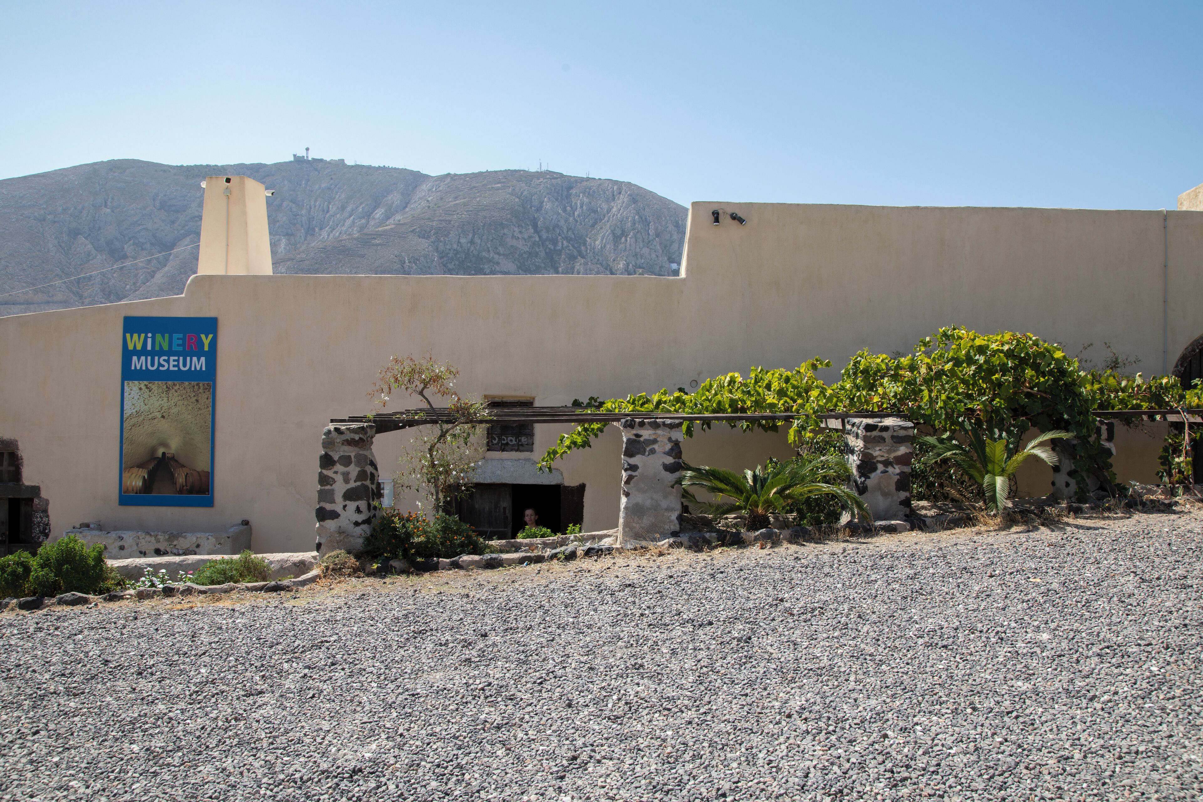 Koutsoyannopoulos Vinmuseum