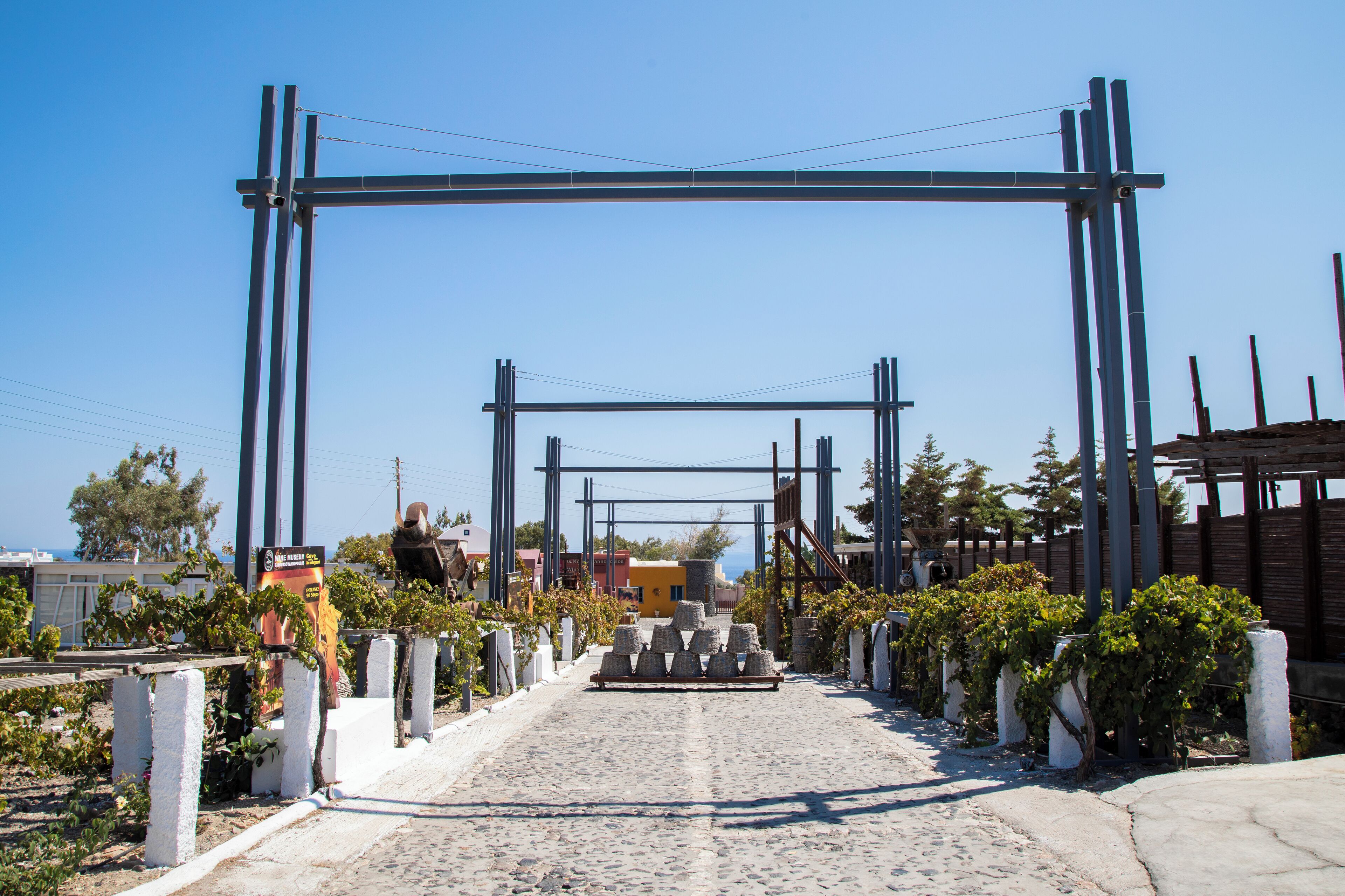 Koutsoyannopoulos Vinmuseum