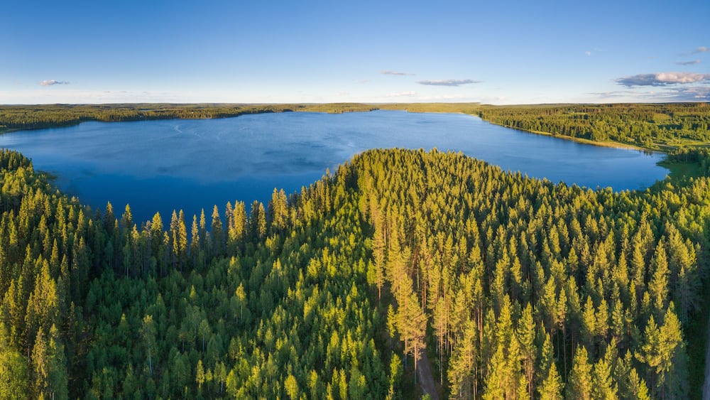 Aerial view in panorama format over boreal forest with lake in central Finland