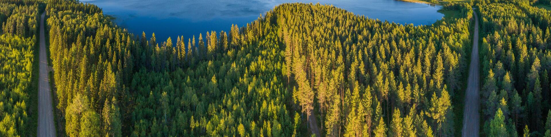 Aerial view in panorama format over boreal forest with lake in central Finland
