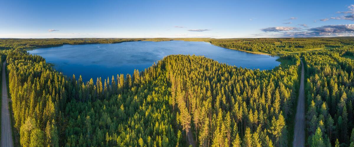 A lake surrounded by dense forest.