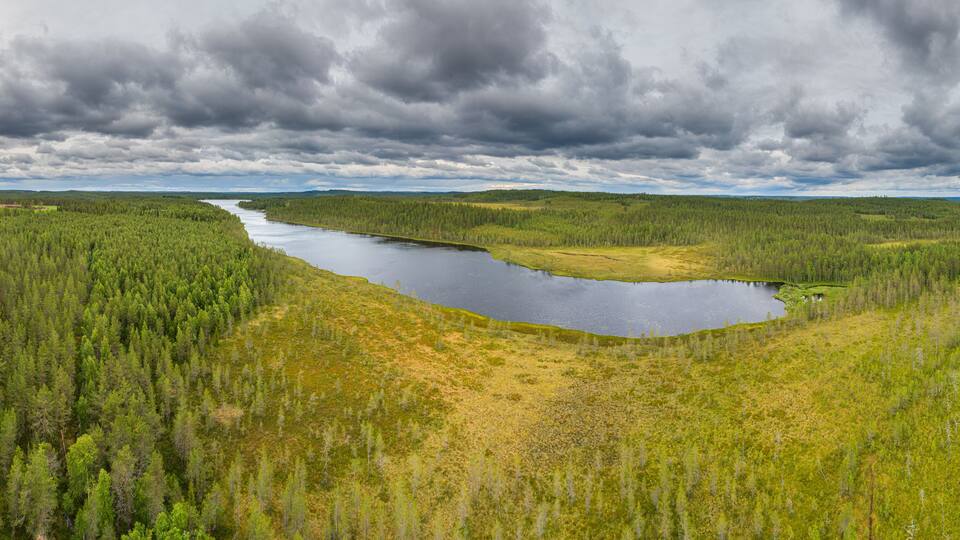 A river winding through a dense forest with a cloudy sky.