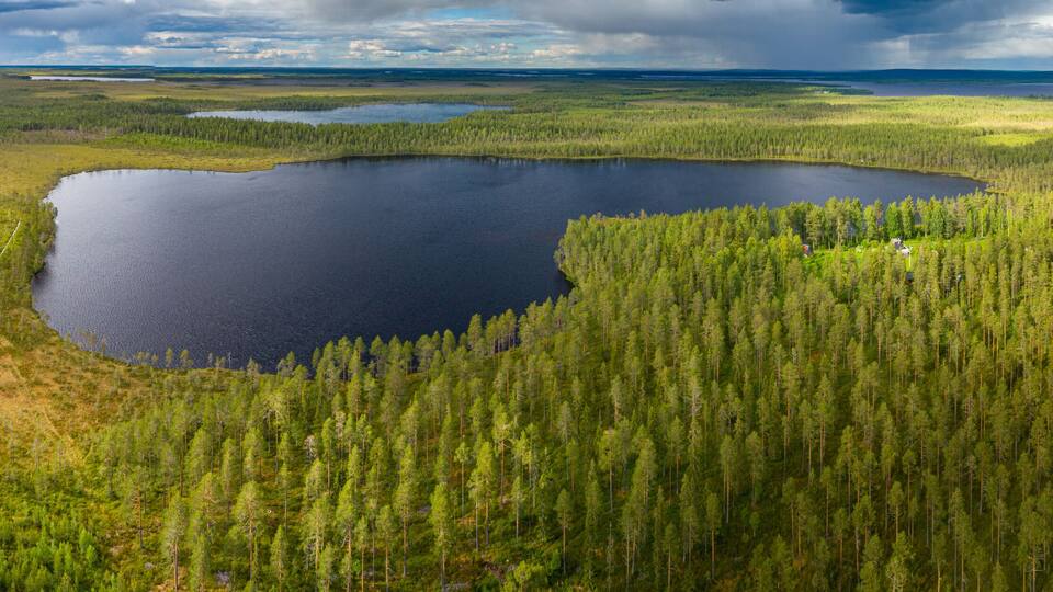 A large lake surrounded by dense forest and a distant shoreline.