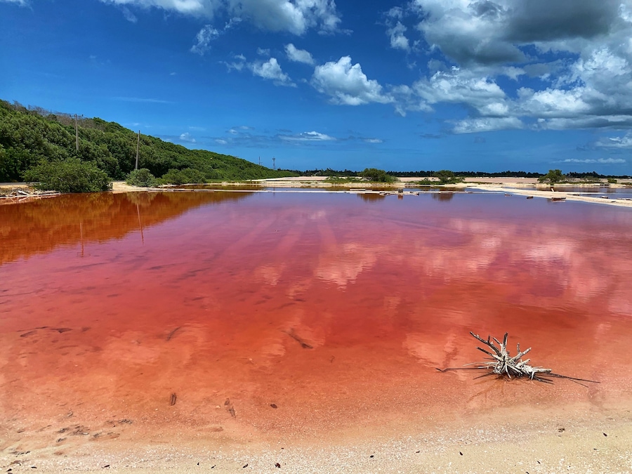 Pink water? Yes in San Crisanto, Yucatan #worldphotoday #lifeatexpedia #tlotravel