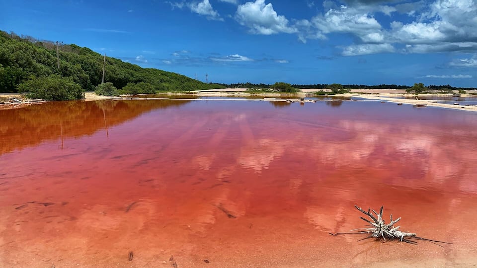 Pink water? Yes in San Crisanto, Yucatan #worldphotoday #lifeatexpedia #tlotravel