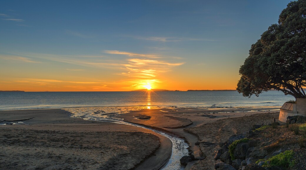 Landscape Scenery of Sunrise at Campbells Bay Beach Auckland, New Zealand