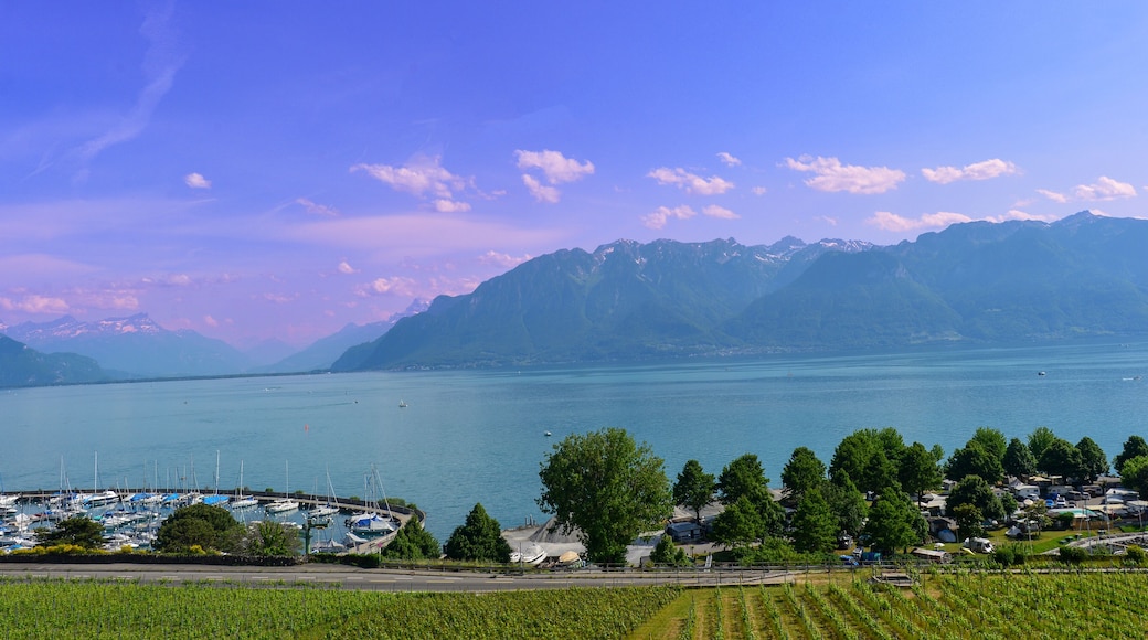 Corseaux, Gemeinde im Distrikt Riviera-Pays-d’Enhaut des Kantons Waadt (Schweiz)