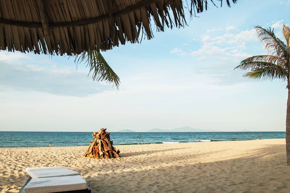 Une plage avec une structure dotée d’un toit de chaume, un palmier et une rive sablonneuse.