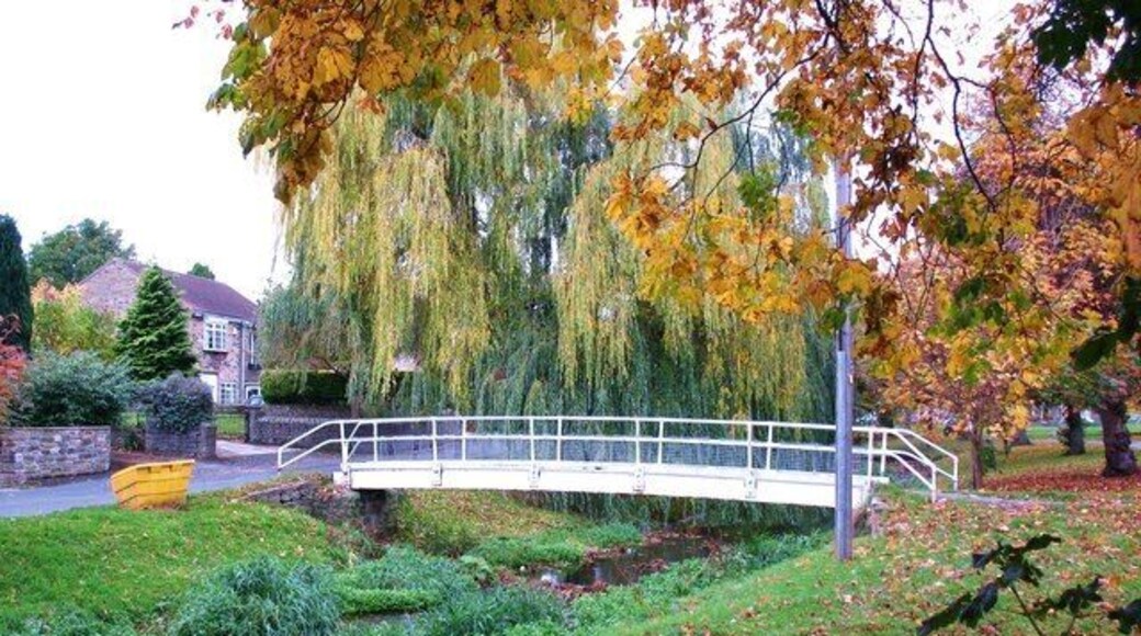 Bridge over the beck, Catterick Brough Beck runs through Catterick village and is crossed by this footbridge near the green.