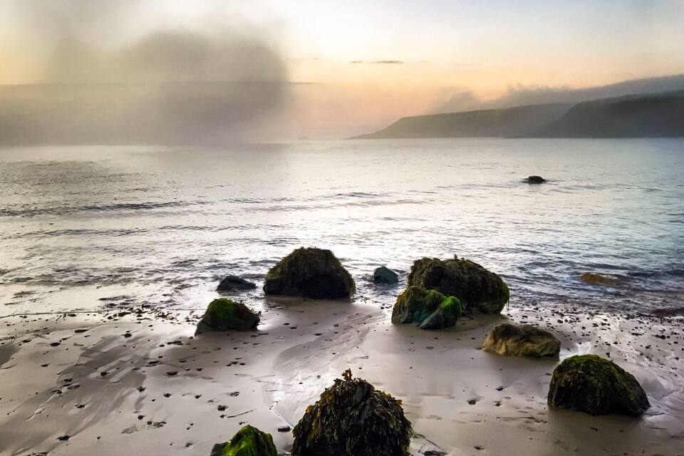 A beach with rocks covered in seaweed and a misty horizon.