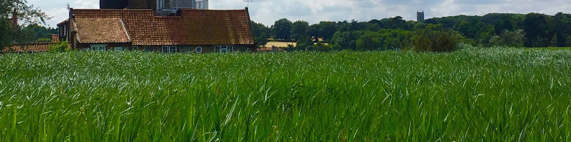 Cley Windmill, Norfolk