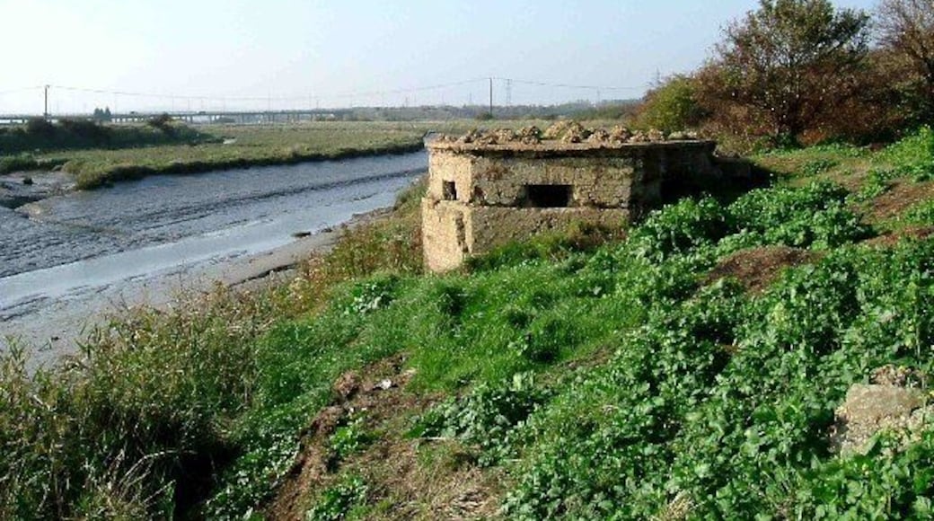Pillbox on Benfleet Creek. This pillbox on Benfleet Creek has seen better days itÂs concrete skin has fallen away revealing that this block house is of brick construction which would not afford much protection against a tank round. In the background you can just see the A130 to Canvey Island