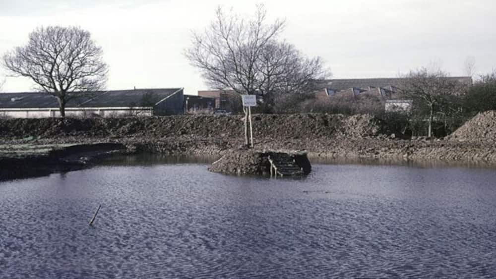 A flooded area with a small island, a signpost, and buildings in the background.