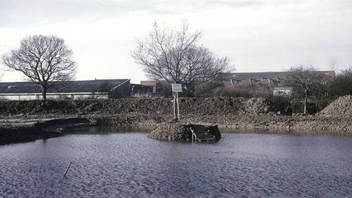 Thundersley pond after filling. This was taken in early 1986, when the pond had filled, and settled down. Over the next few years, it became a fine wildlife pond with abundant dragonflies. 1514917 shows it before filling.