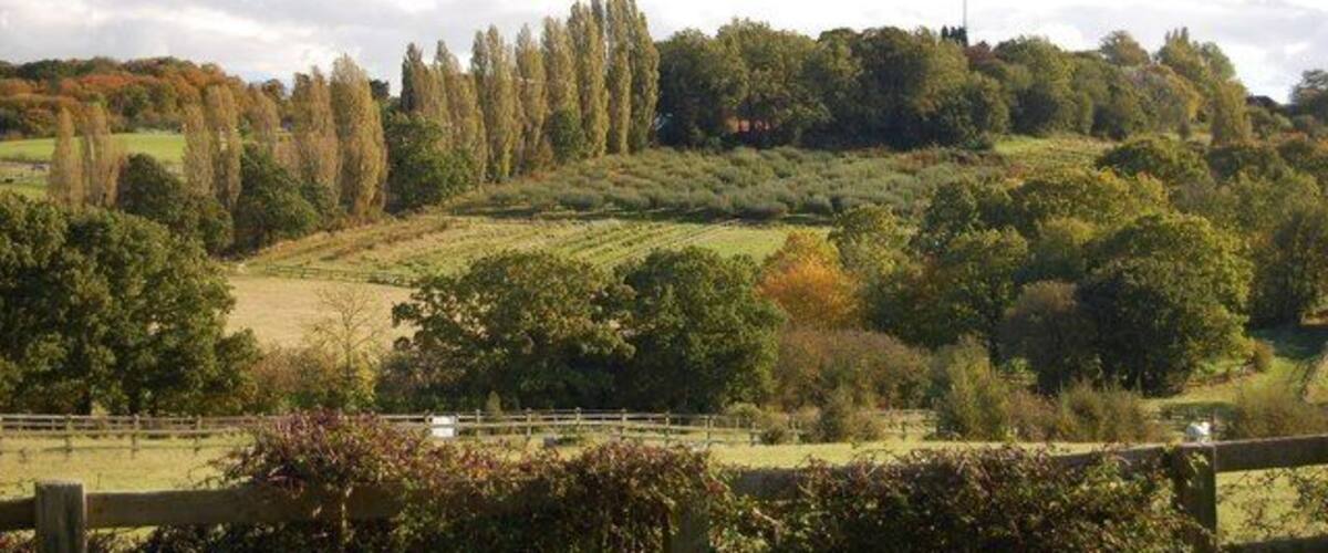 View from footpath south of Thundersley Glen This view looking up towards the water tower at the junction of Benfleet Road and Essex Way, takes in paddocks for horses and pick-your-own orchards.