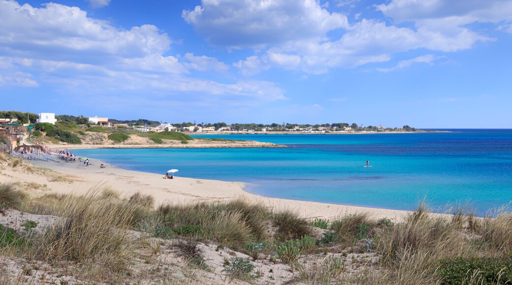 The most beautiful beaches of Puglia: Marina di Lizzano beach (Taranto). The coastline is characterized by a alternation of sandy coves and jagged cliffs overlooking a truly clear and crystalline sea.