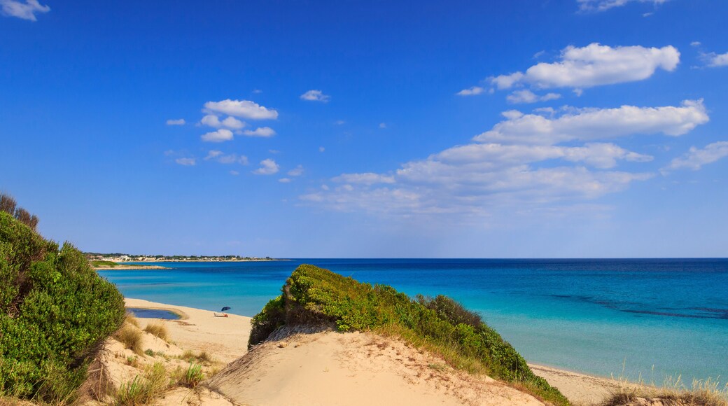 Summer seascape, Apulia coast: Marina di Lizzano beach (Taranto). The coastline is characterized by a alternation of sandy coves and jagged cliffs overlooking a truly clear and crystalline sea.