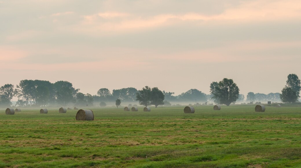 Arrondissement du Pays de la Havel