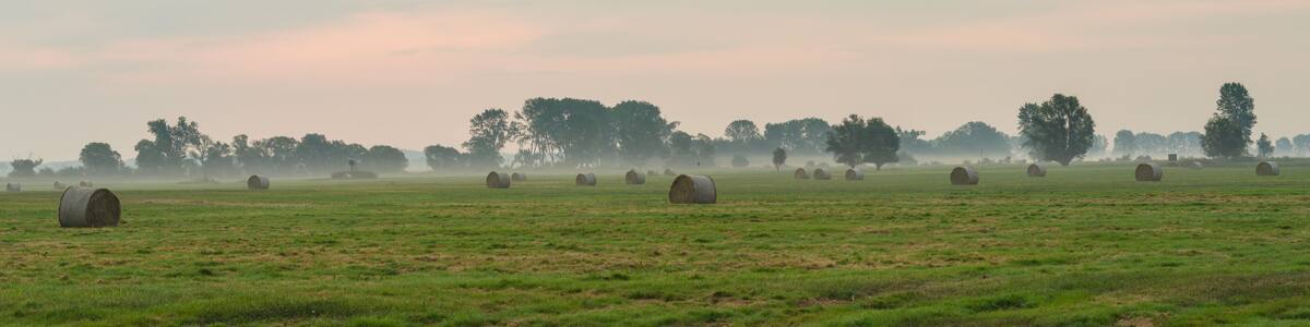 Hay bales in fog on a harvested field on autumn morning