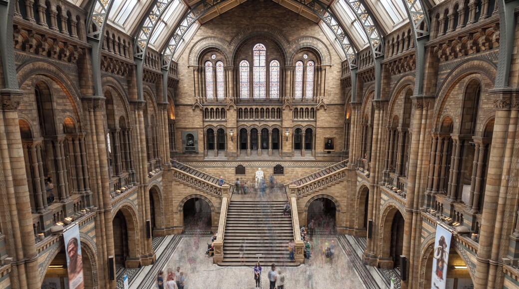The Main Hall of the Natural History Museum in London, United Kingdom