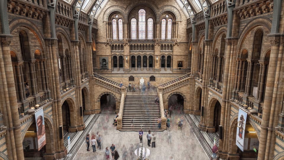 The Main Hall of the Natural History Museum in London, United Kingdom