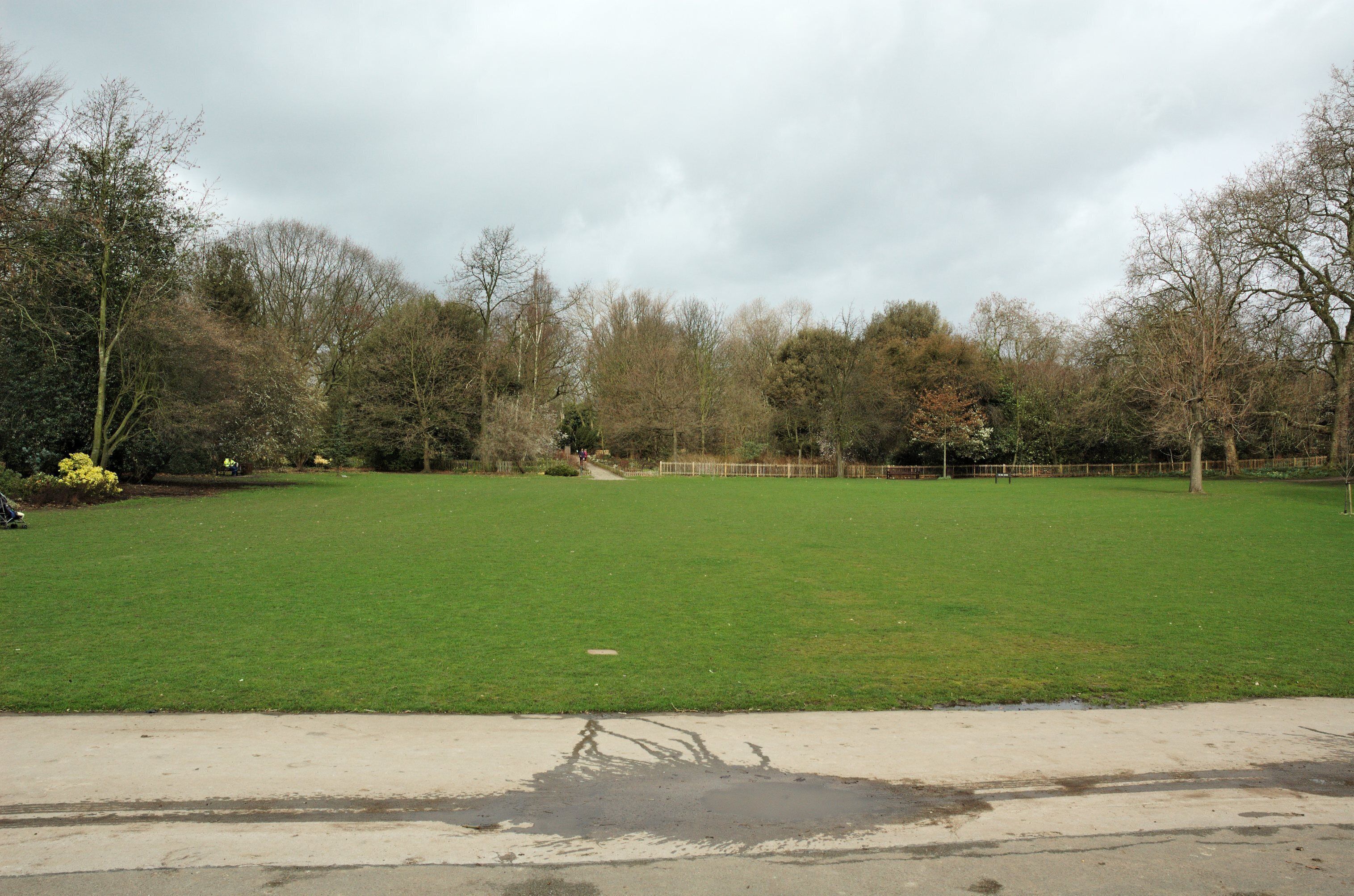 Lawn in Holland Park, London.