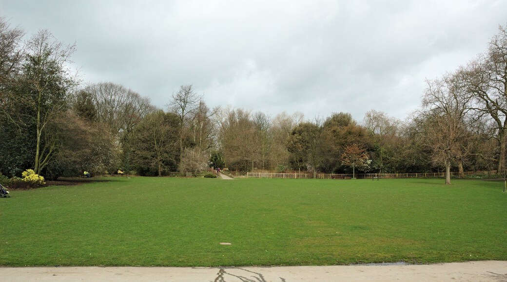 Lawn in Holland Park, London.