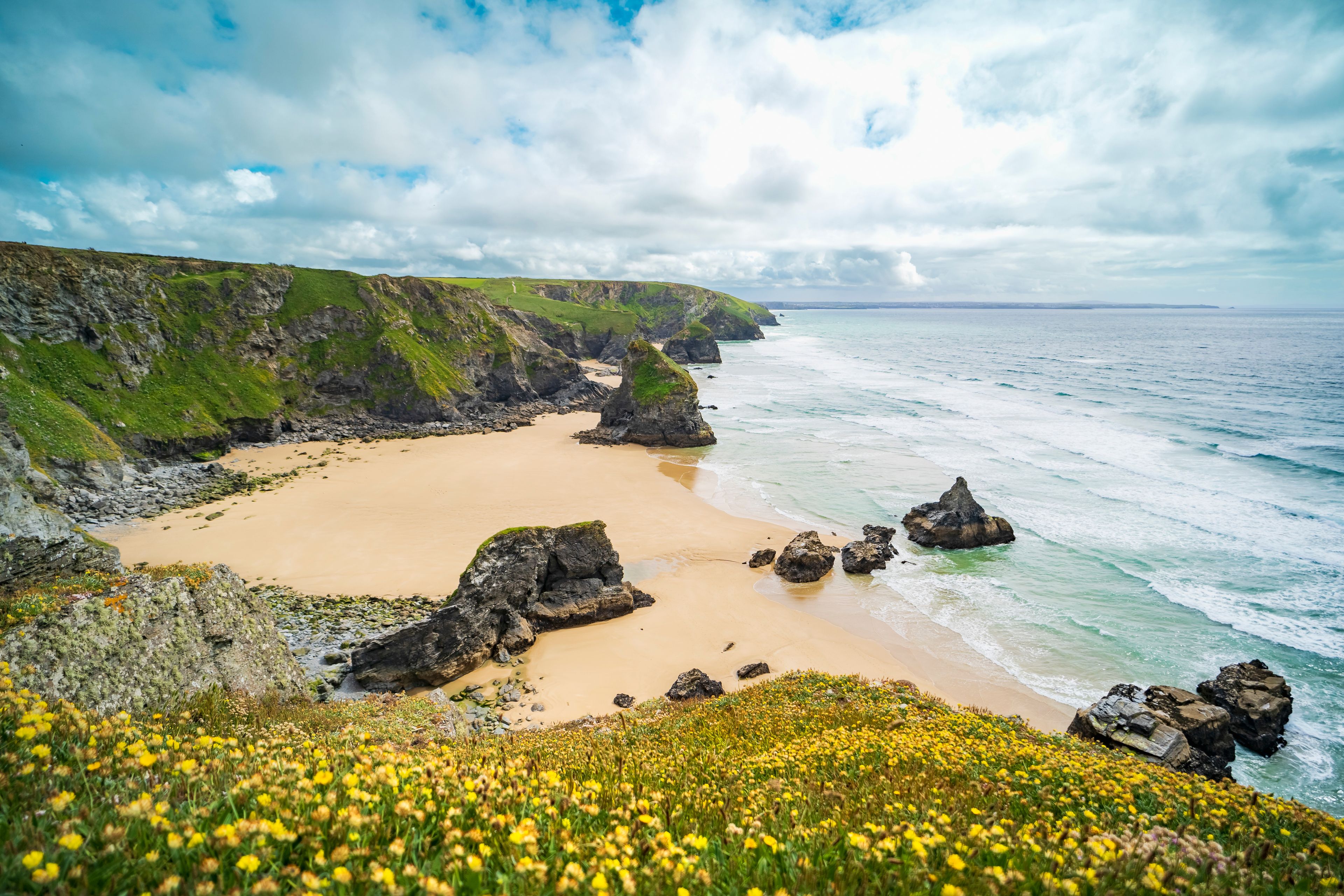 View of Bedruthan Steps with wild flowers and rugged rocks on the beach, Mawgan Porth, Cornwall, United Kingdom.