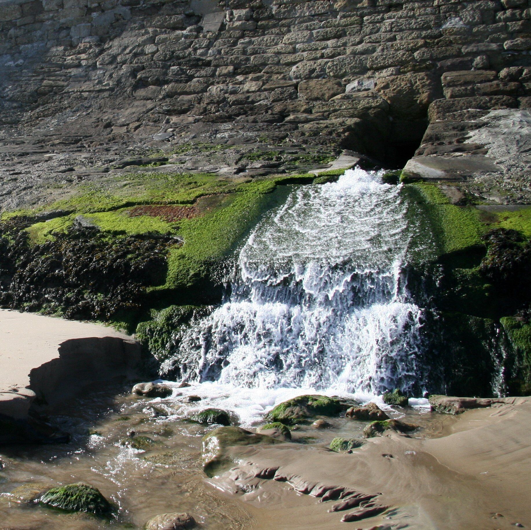 Cayton land drainage pumping station outfall The photograph shows the outfall from Yorkshire Water Cayton land drainage pumping station. For a photograph of the pumping station, click here https://www.geograph.org.uk/photo/1777802 .