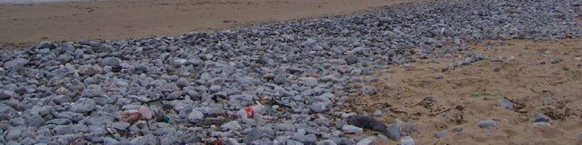 Oxwich Point. Taken from Oxwich Bay (grid ref changed by moderator)
