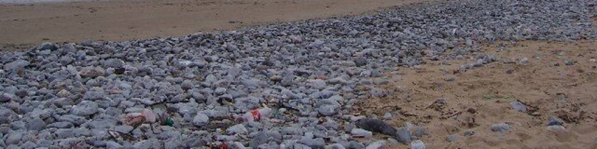 Oxwich Point. Taken from Oxwich Bay (grid ref changed by moderator)