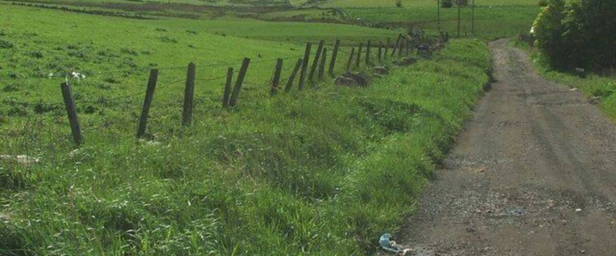 A rural dirt road flanked by green fields and a wooden fence.