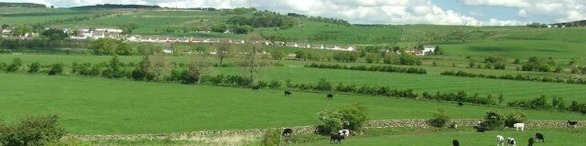 Looking across the Upper Nith Valley. The River Nith flows from left to right in the middle distance.
